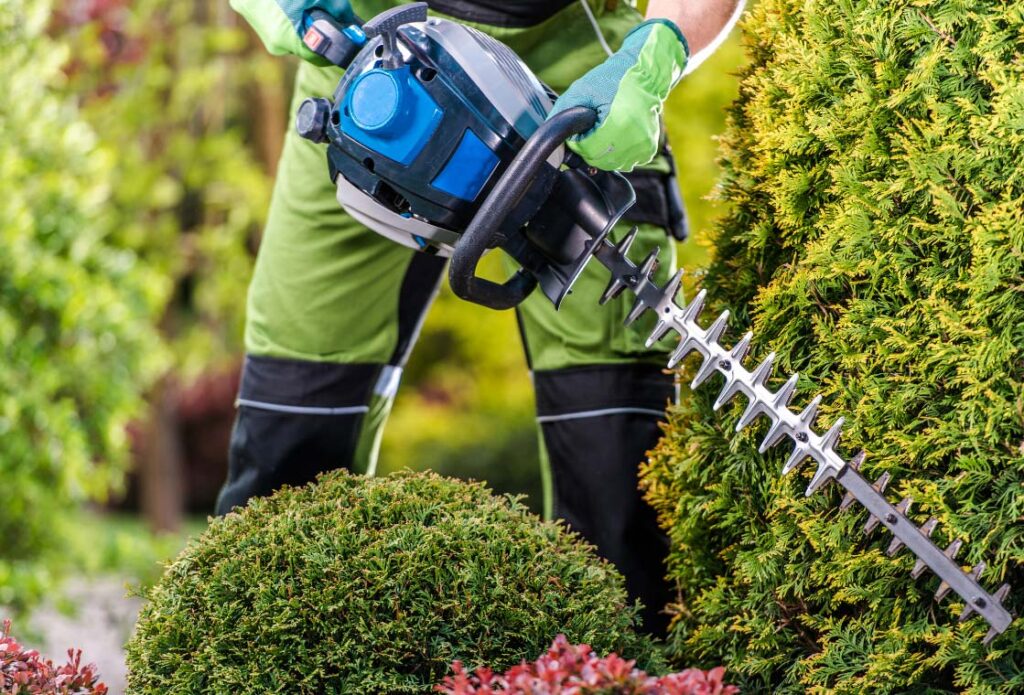 King's Will gardening and landscaping service Melbourne